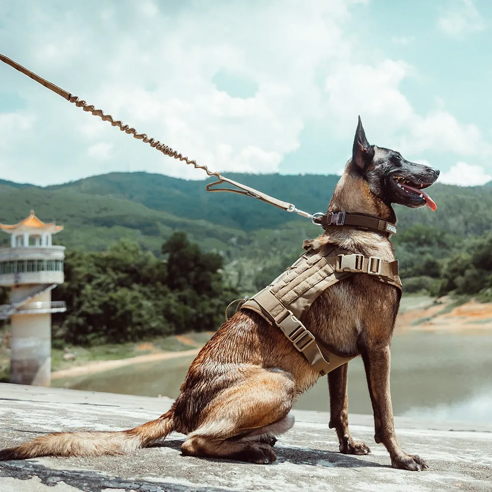 Adjustable Dog Harness