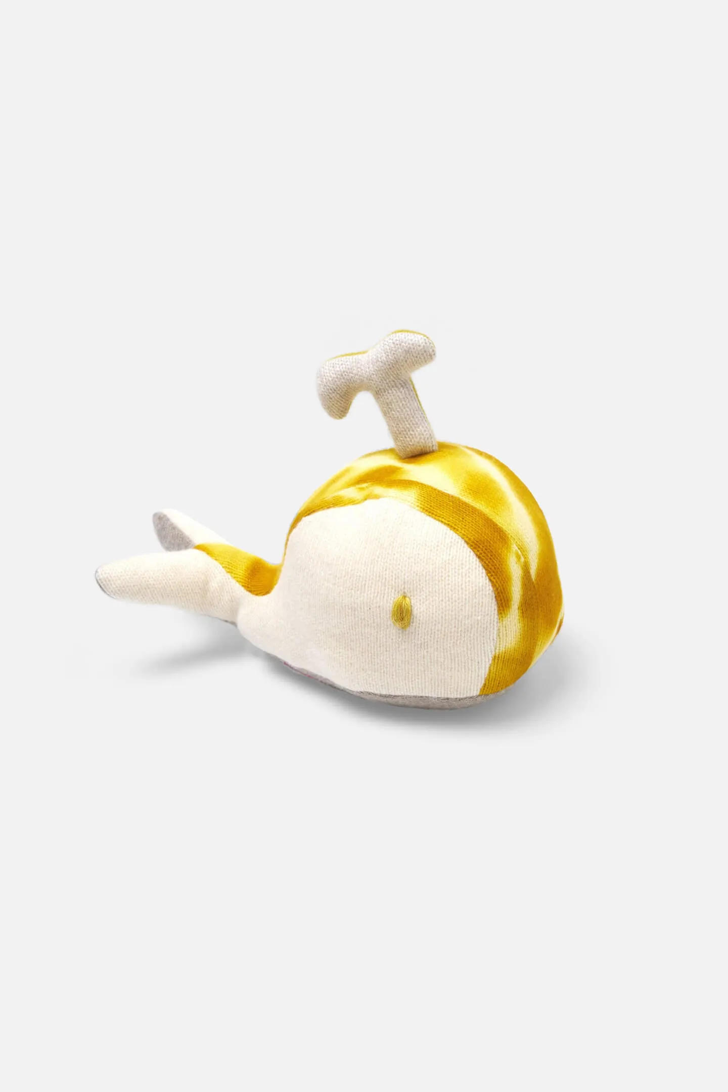 Small Whale